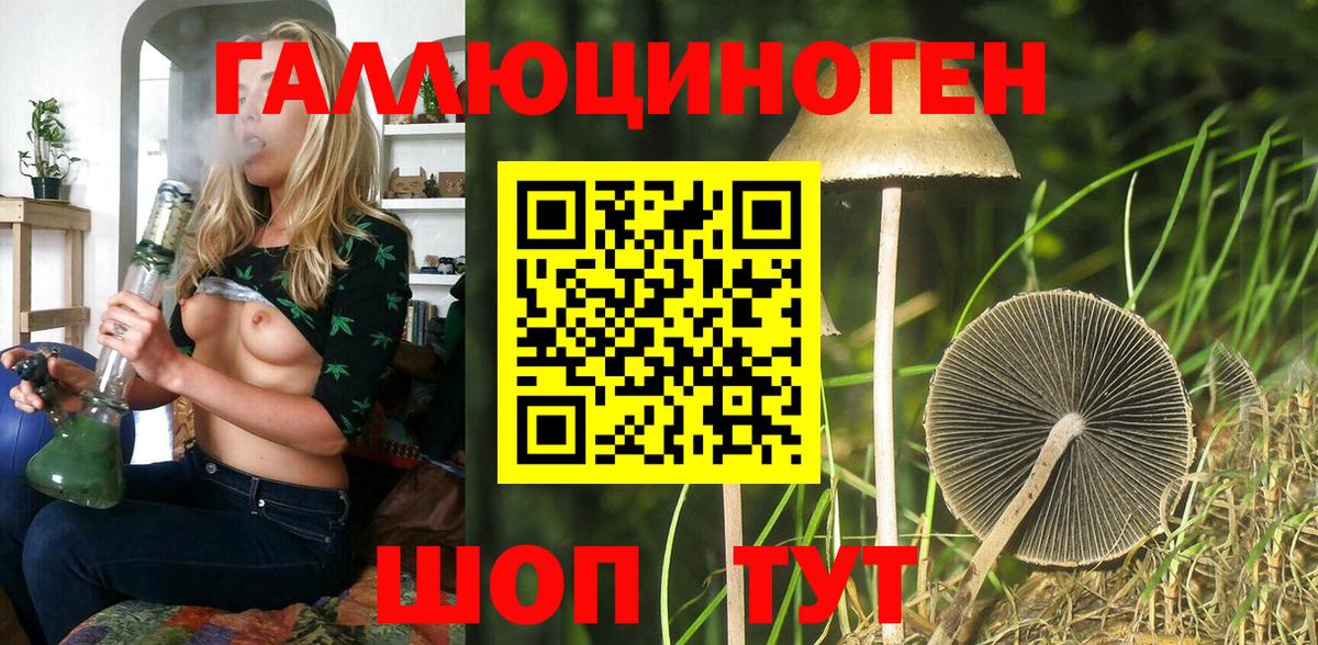Псилоцибиновые грибы мицелий Великие Луки